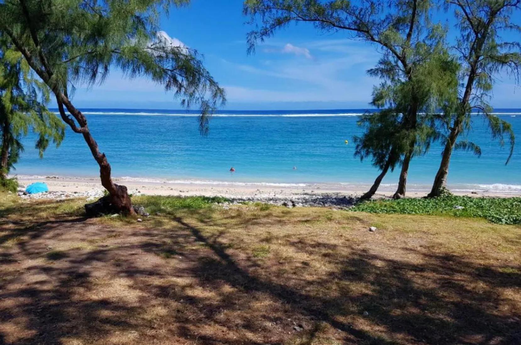 Le Sable Blanc - Studio - Piscine Saint-Gilles-les Bains Kültér fotó